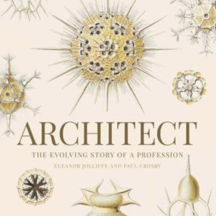 Architect: The evolving story of a profession