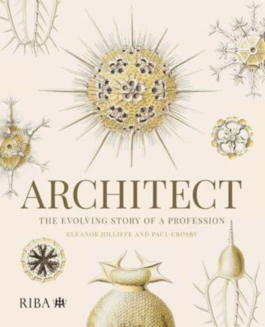 Architect: The evolving story of a profession