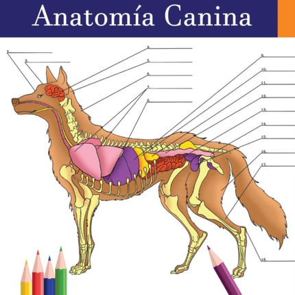 Libro para colorear de Anatomía Canina: Libro de Colores de Autoevaluación Muy Detallado de Anatomía Canina El Regalo Perfecto Para Estudiantes de Veterinaria, Amantes de los Perros y Adultos