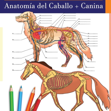 Libro para colorear de Anatomía del Caballo + Canina: 2-en-1 Compilación Libro de colores de autoevaluación para estudiar muy detallado de Anatomía equina y canina El regalo perfecto para Estudiantes de veterinaria, amantes de los animales