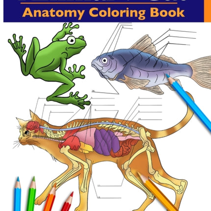 Animal & Cat Anatomy Coloring Book: 2-in-1 Compilation Incredibly Detailed Self-Test Veterinary & Feline Anatomy Color workbook