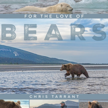 For The Love Of Bears