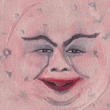 PINK MOON (SPECIAL EDITION) Marcel Dzama, Sufjan
