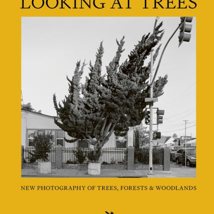 Looking At Trees: New Photography of Trees, Forests & Woodlands