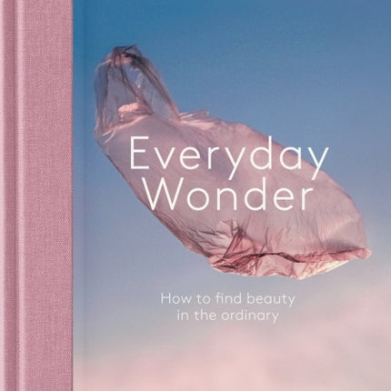 Everyday Wonder