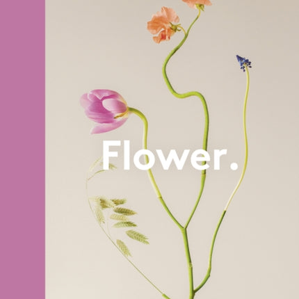 Flower.