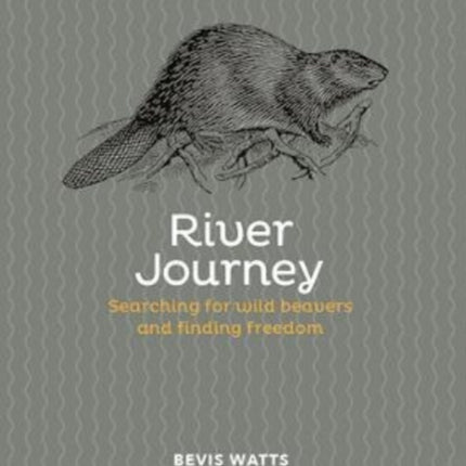 River Journey: Searching For Wild Beavers And Finding Freedom