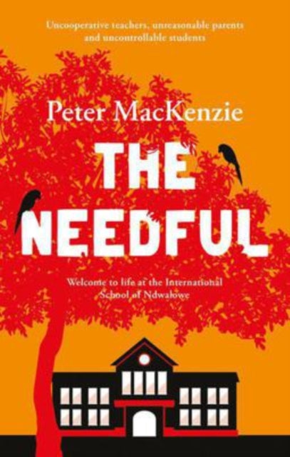 The Needful: A year in an international school in Africa