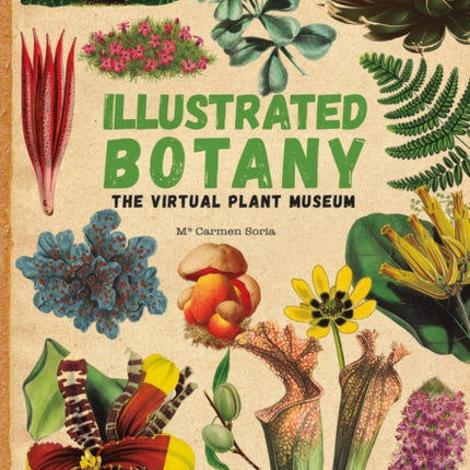 Illustrated Botany: The Virtual Plant Museum