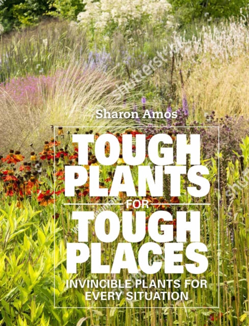 Tough Plants for Tough Places: Invincible Plants for Every Situation