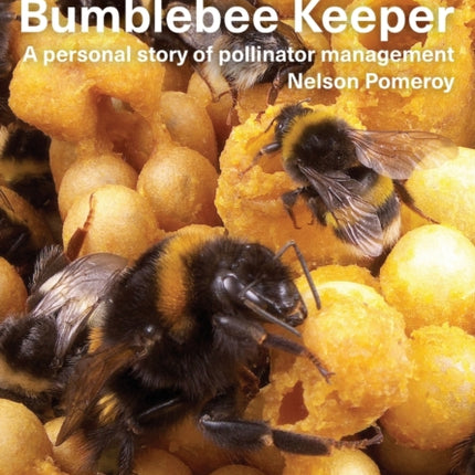 Bumblebee Keeper: a personal story of pollinator management