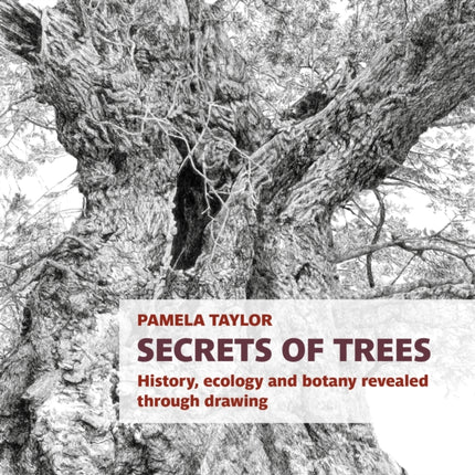 Secrets of Trees