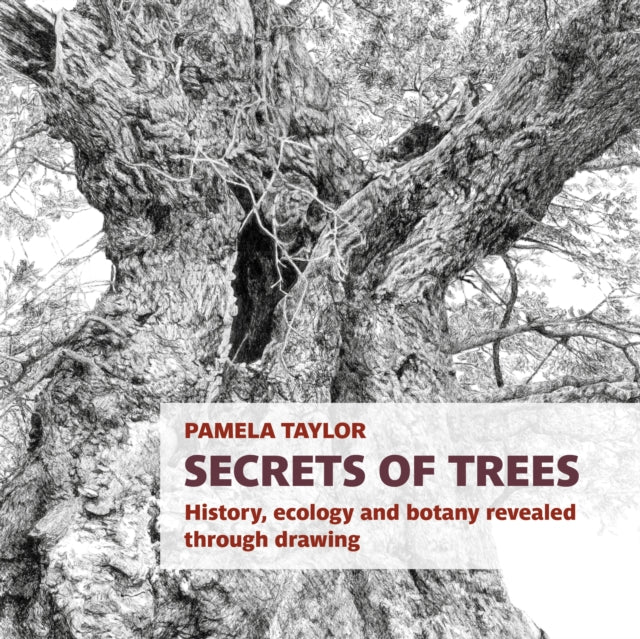 Secrets of Trees