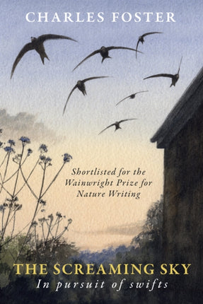 The Screaming Sky: in pursuit of swifts