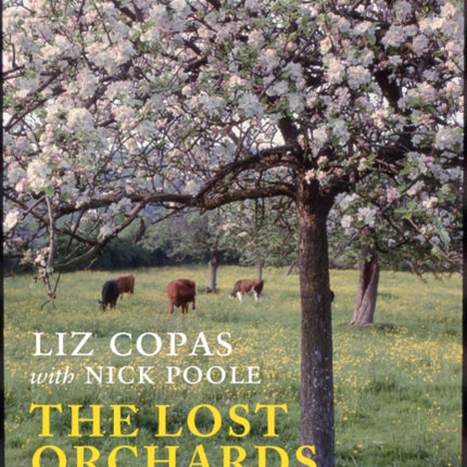 The Lost Orchards: Rediscovering the forgotten apple varieties of Dorset