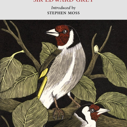 The Charm of Birds