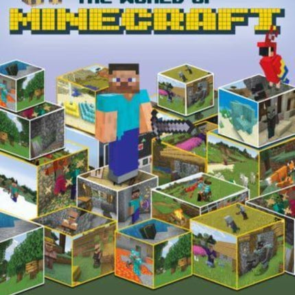 The World of Minecraft