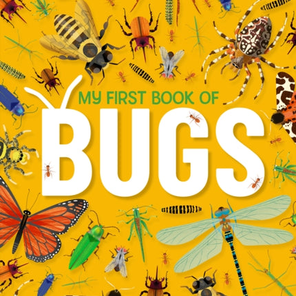 My First Book of Bugs