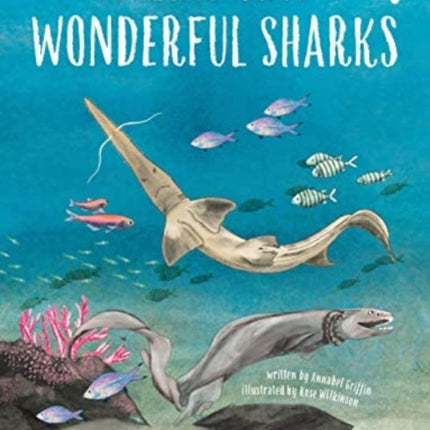 WEIRD AND WONDERFUL SHARKS: Shark Safari   STEM