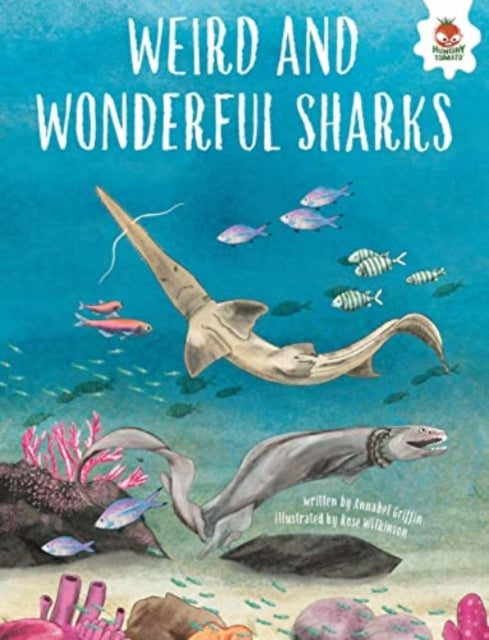 WEIRD AND WONDERFUL SHARKS: Shark Safari   STEM