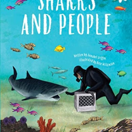 SHARKS AND PEOPLE: Shark Safari STEM