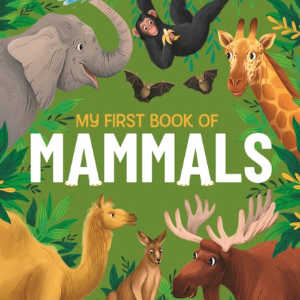 My First Book of Mammals