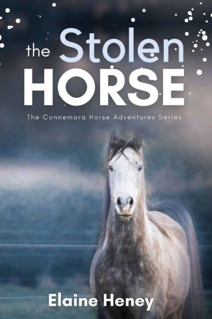 The Stolen Horse: Book 4 in the Connemara Horse Adventure Series for Kids   The Perfect Gift for Children age 8-12