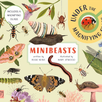 Minibeasts Under the Magnifying Glass