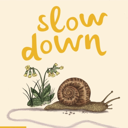 SLOW DOWN ACTIVITY CARDS