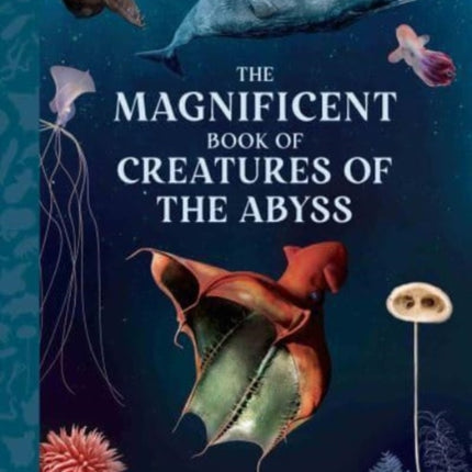 The Magnificent Book Creatures of the Abyss