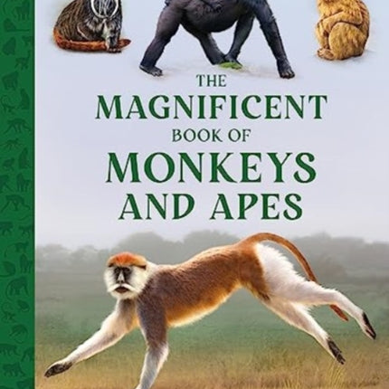 The Magnificent Book of Monkeys and Apes