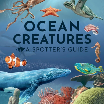 Ocean Creatures A Spotters Guide