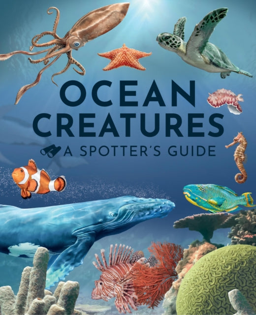 Ocean Creatures A Spotters Guide