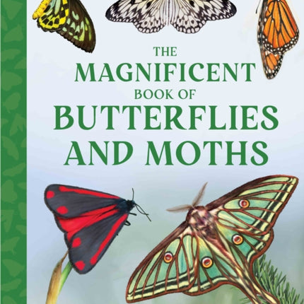 The Magnificent Book of Butterflies and Moths