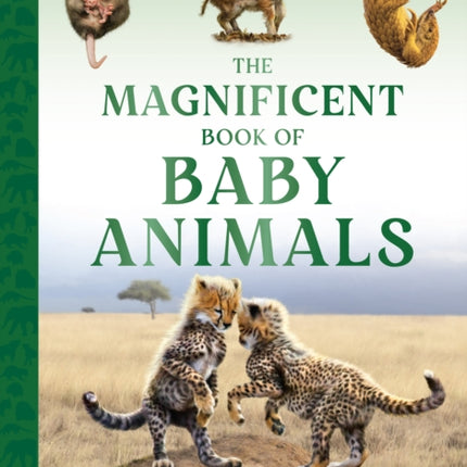 The Magnificent Book of Baby Animals
