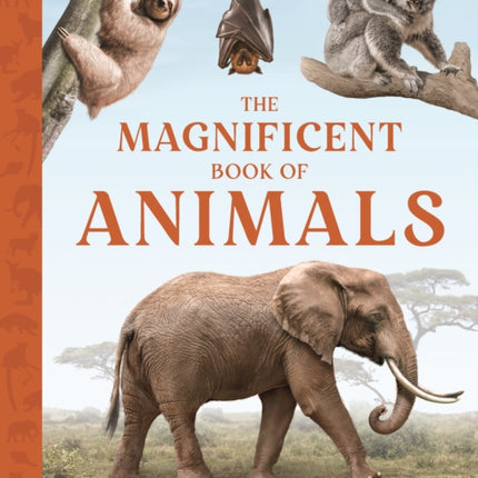 The Magnificent Book of Animals