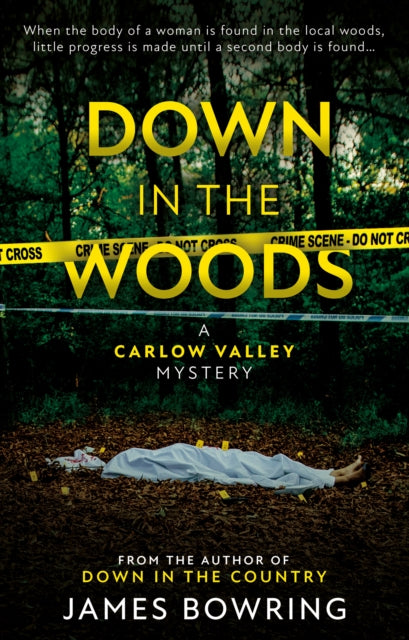 Down in the Woods: A Carlow Valley Mystery