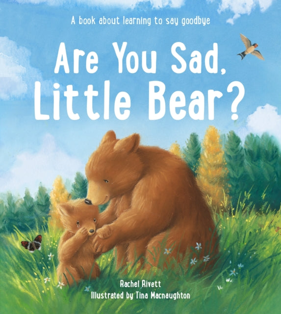 Are You Sad Little Bear