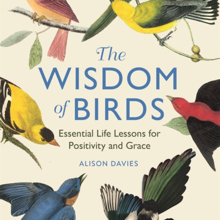 The Wisdom of Birds: Essential Life Lessons for Positivity and Grace