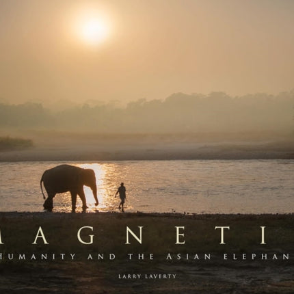Magnetic