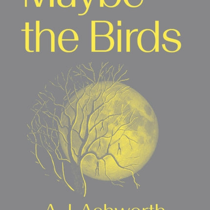 Maybe the Birds