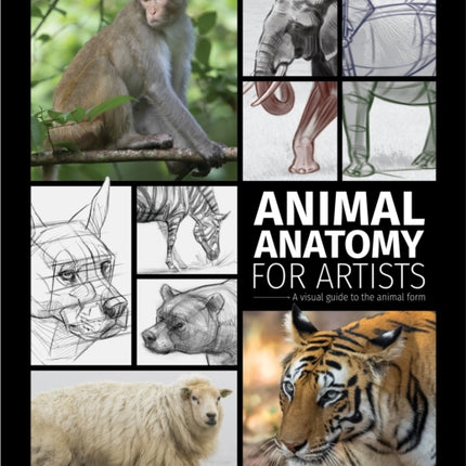 Animal Anatomy for Artists