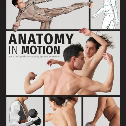 Anatomy in Motion