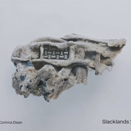 Slacklands 2