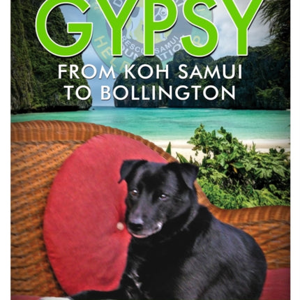 Gypsy  From Koh Samui to Bollington