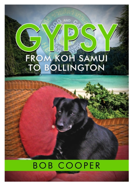Gypsy  From Koh Samui to Bollington