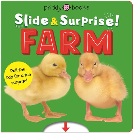 Farm Slide  Surprise