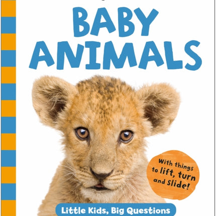 Baby Animals Little Kids Big Questions