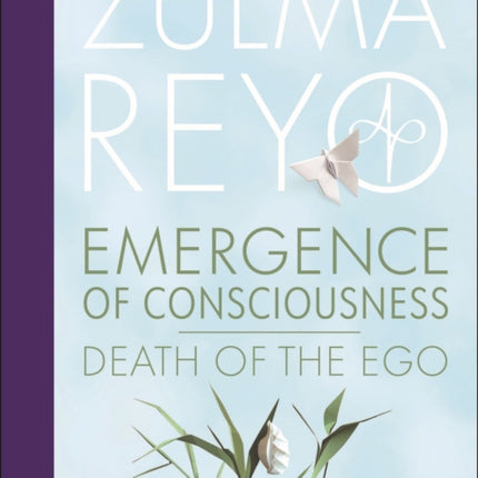 Emergence Of Conciousness