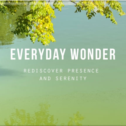 Everyday Wonder